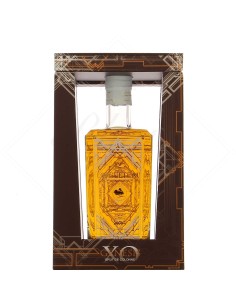 Longueteau Genesis XO B1