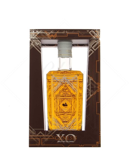 Longueteau Genesis XO B1