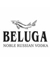 Beluga